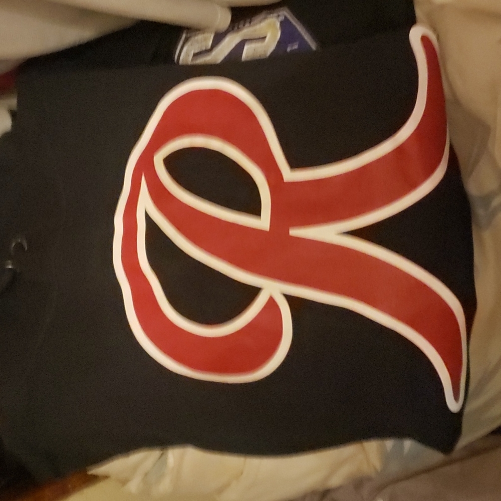 Rainiers hoodie